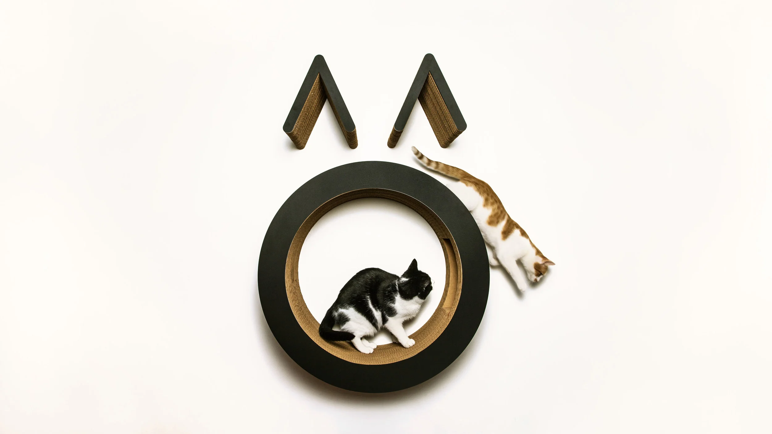 Koneko Cat Cafe